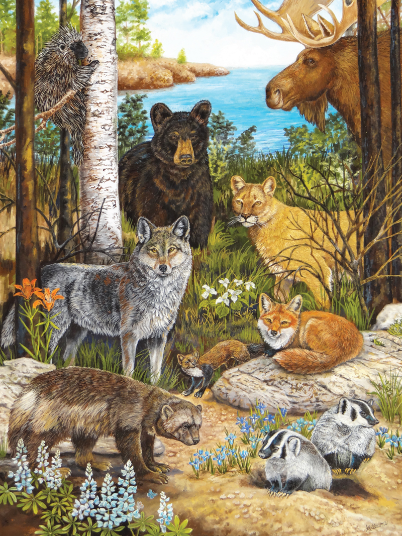 10605 - Forest Friends Puzzle