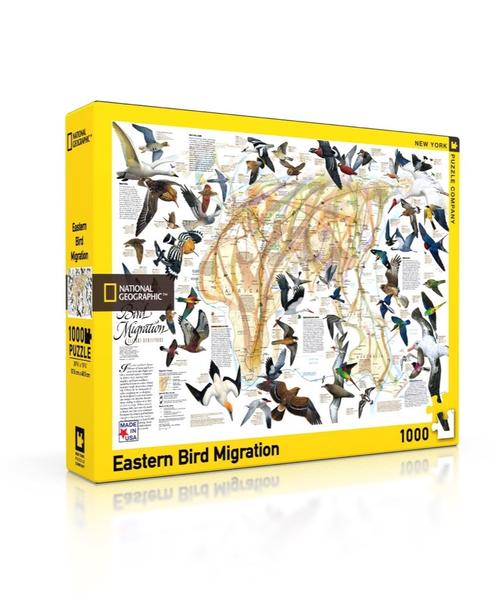 NYC-104 - Eastern Bird Migration