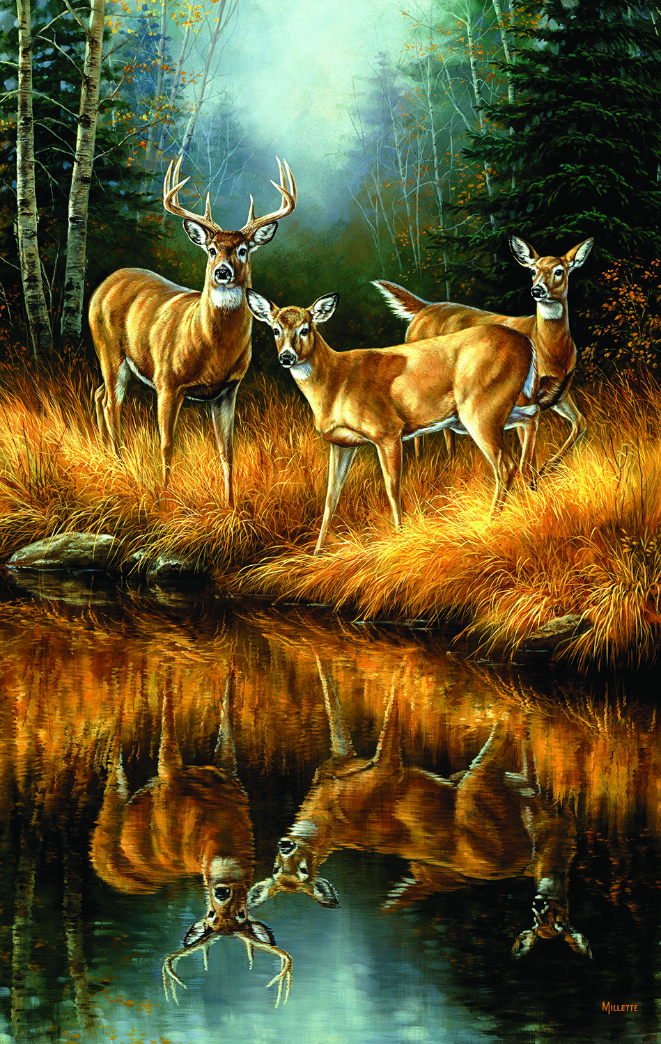 SO-30923 - Whitetail Reflections
