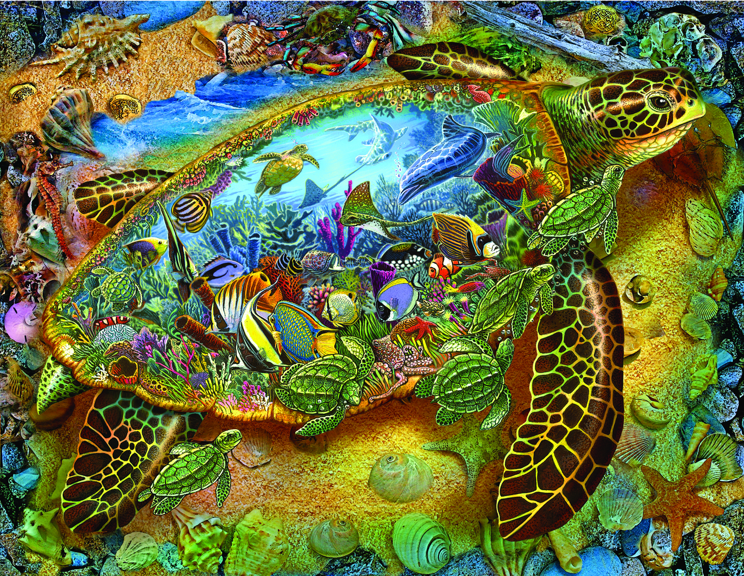 Sea Turtle World (16)