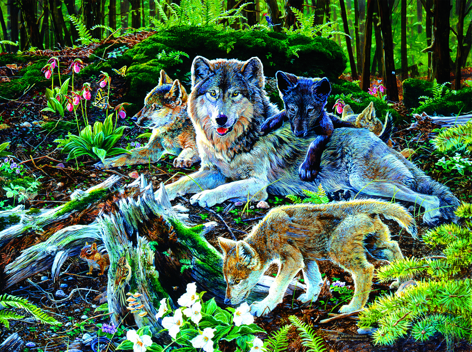 Forest Wolf Family